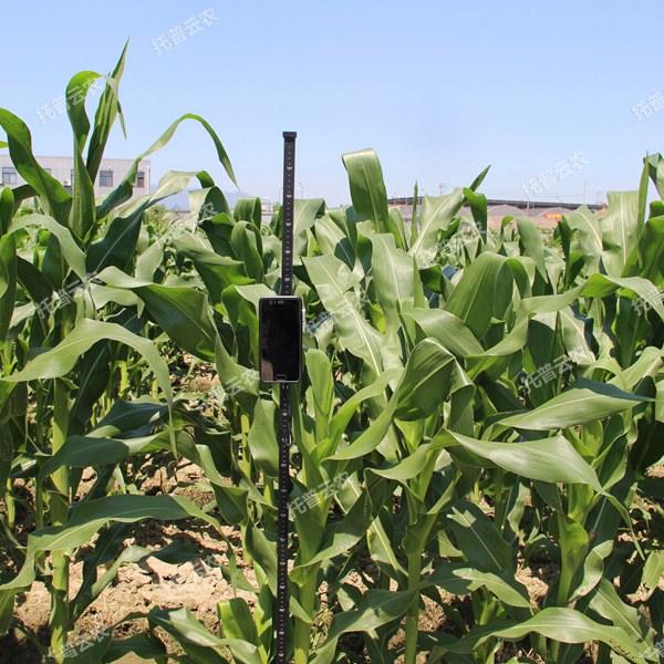 植物株高測量儀