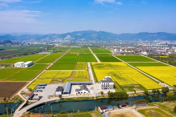 高標(biāo)準(zhǔn)農(nóng)田典型案例集錦丨“豐景”，在希望的田野