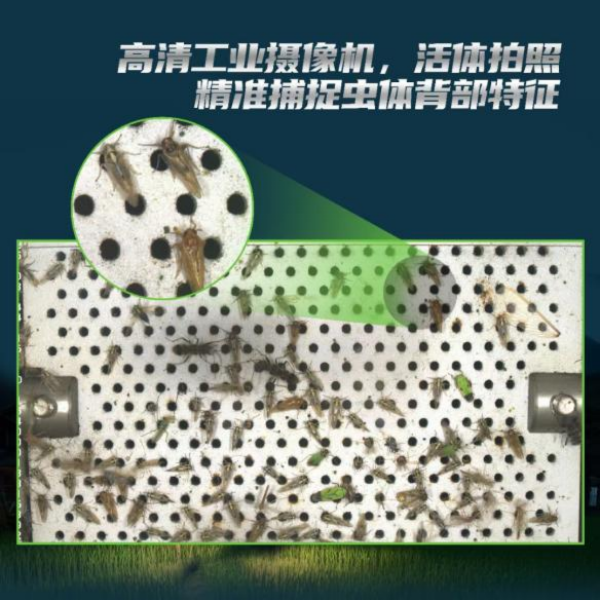 全面升級(jí)！托普云農(nóng)這樣防治“作物殺手”