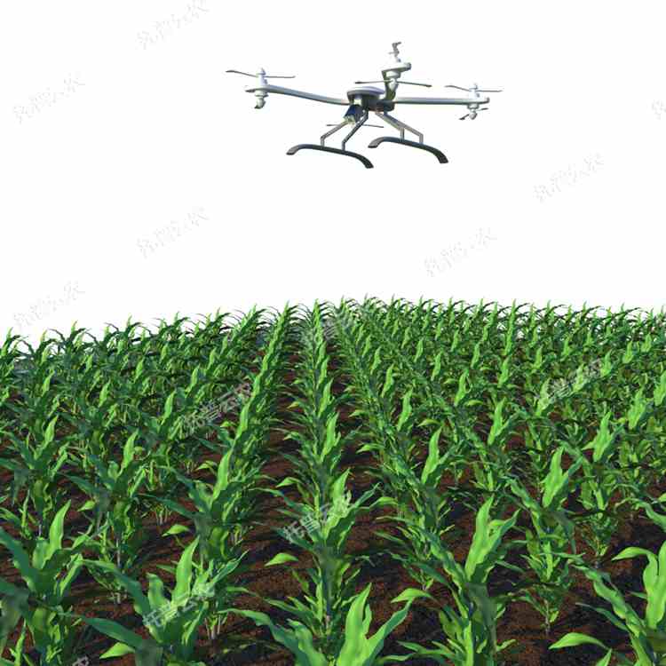 田間無人機式植物高通量表型采集分析平臺