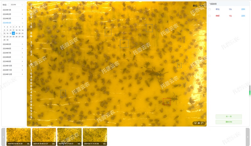 4. 智能識別 自動計數(shù)_副本.jpg